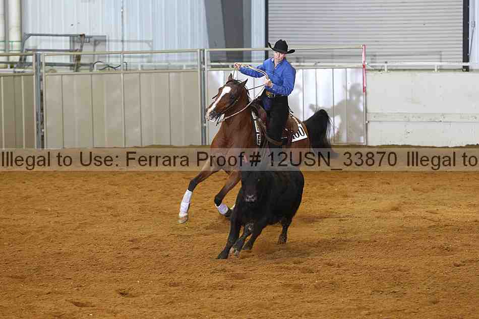 Proof 12usn_33870