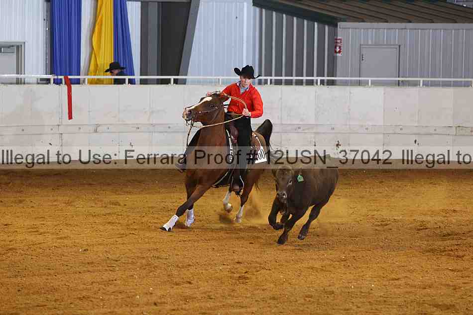 Proof 12usn_37042
