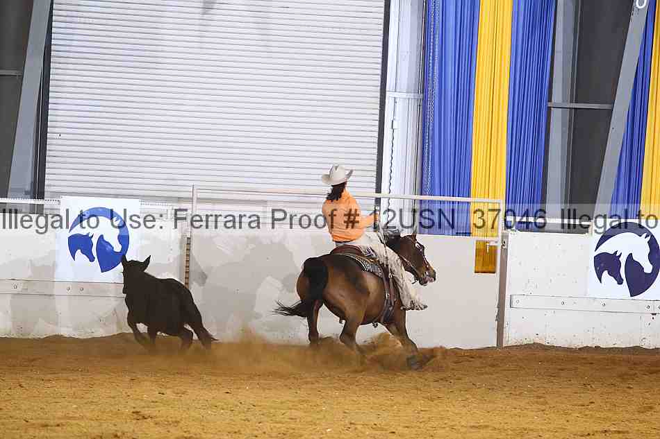 Proof 12usn_37046
