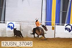 12usn_37046 proof