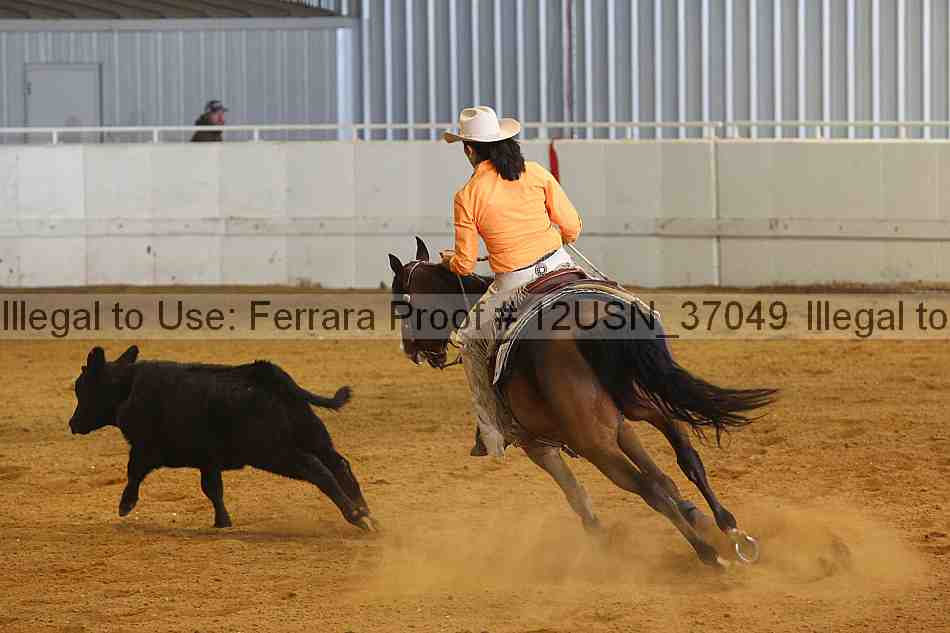 Proof 12usn_37049