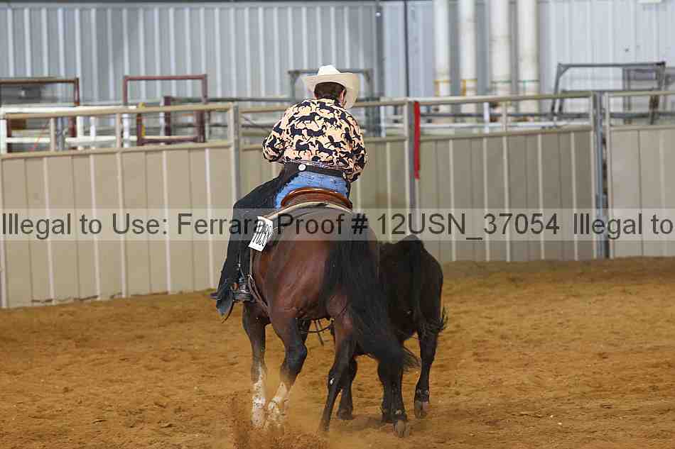 Proof 12usn_37054