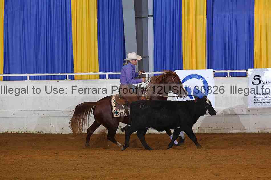 Proof 12usn_30826