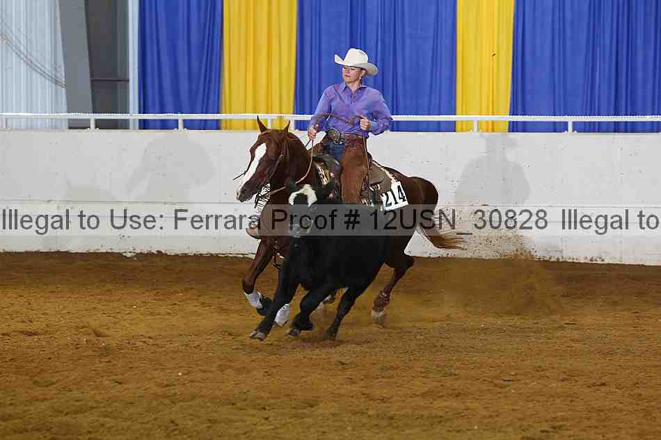 Proof 12usn_30828