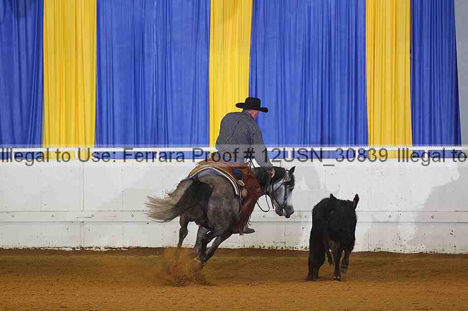 Proof 12usn_30839