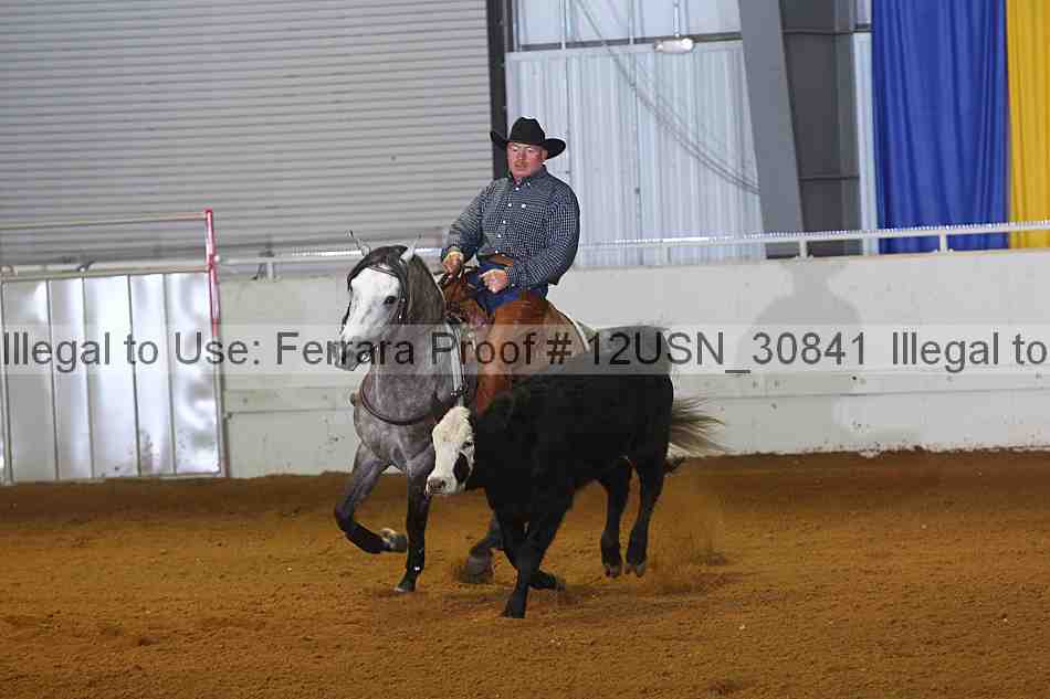 Proof 12usn_30841