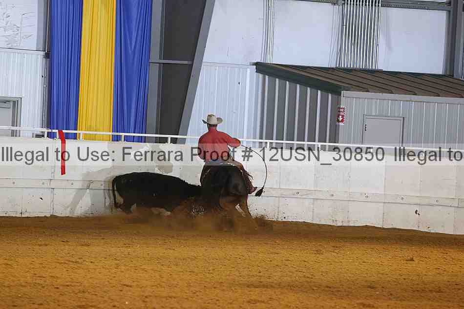 Proof 12usn_30850