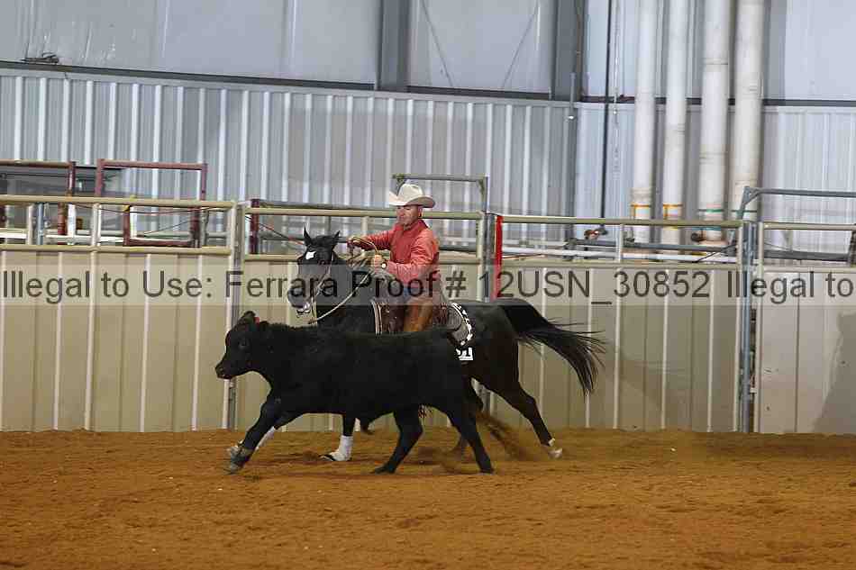 Proof 12usn_30852