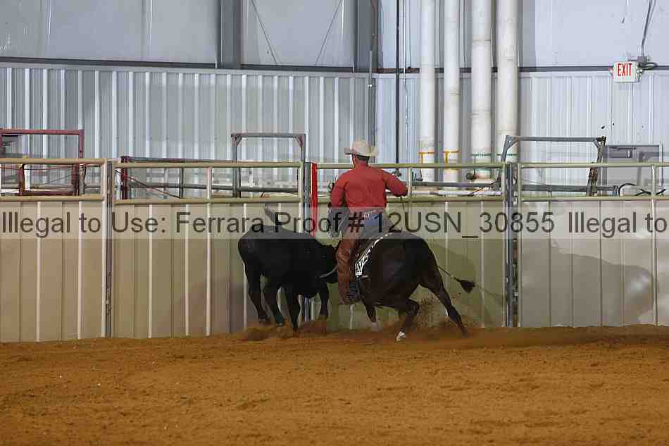 Proof 12usn_30855