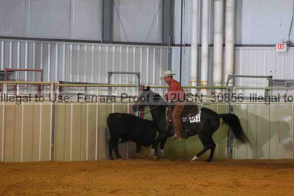 Proof 12usn_30856