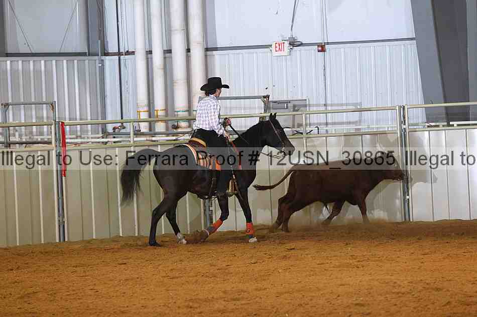 Proof 12usn_30865