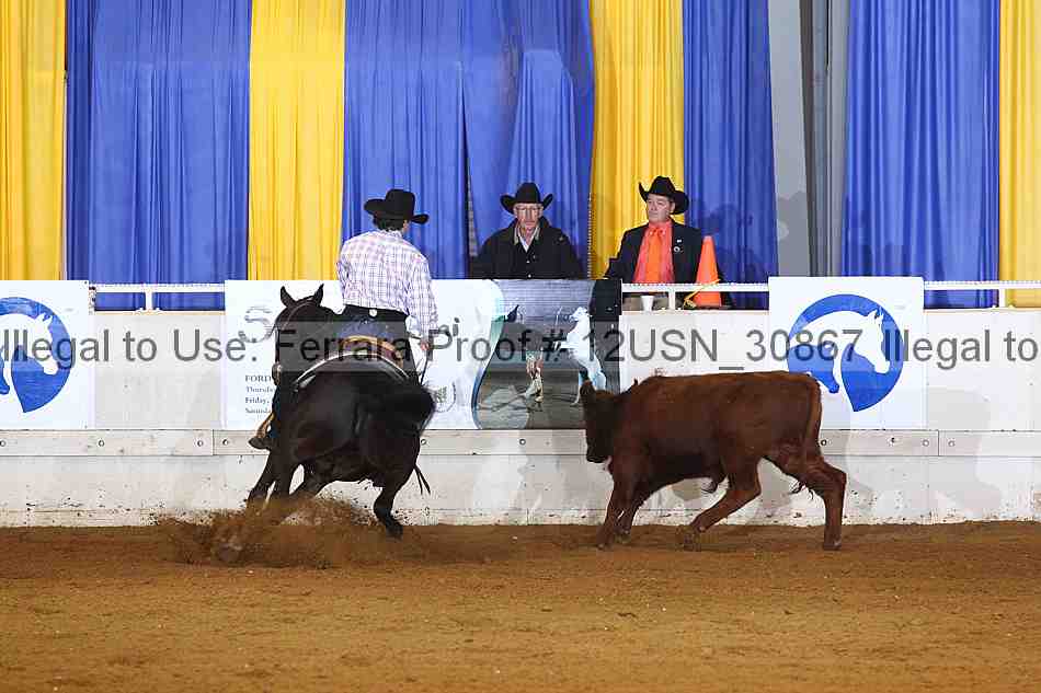 Proof 12usn_30867