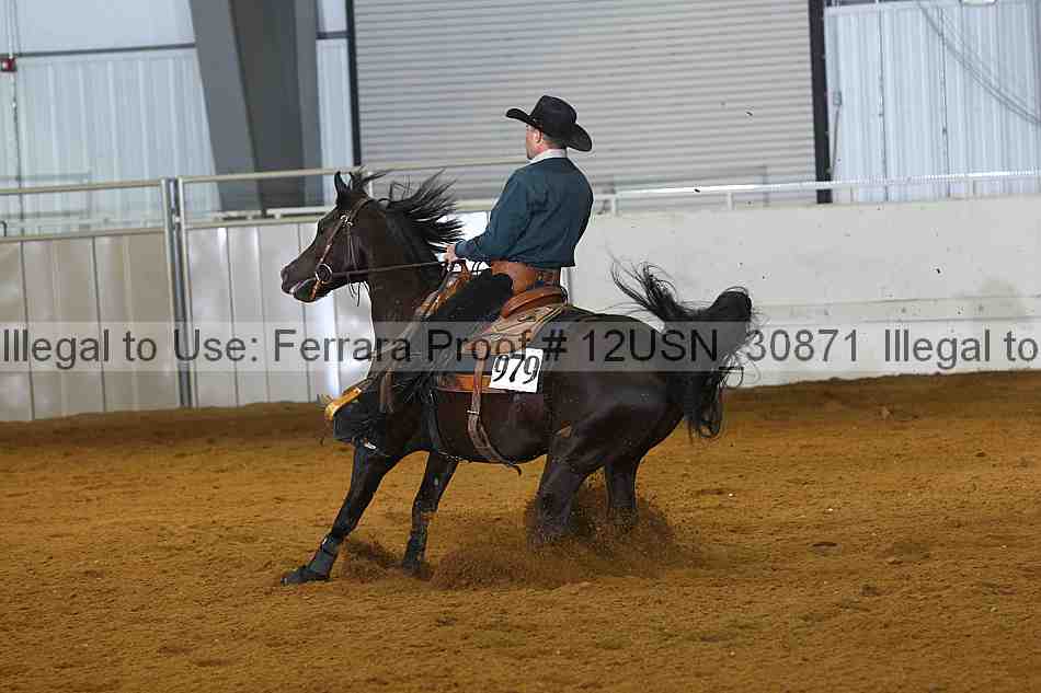 Proof 12usn_30871