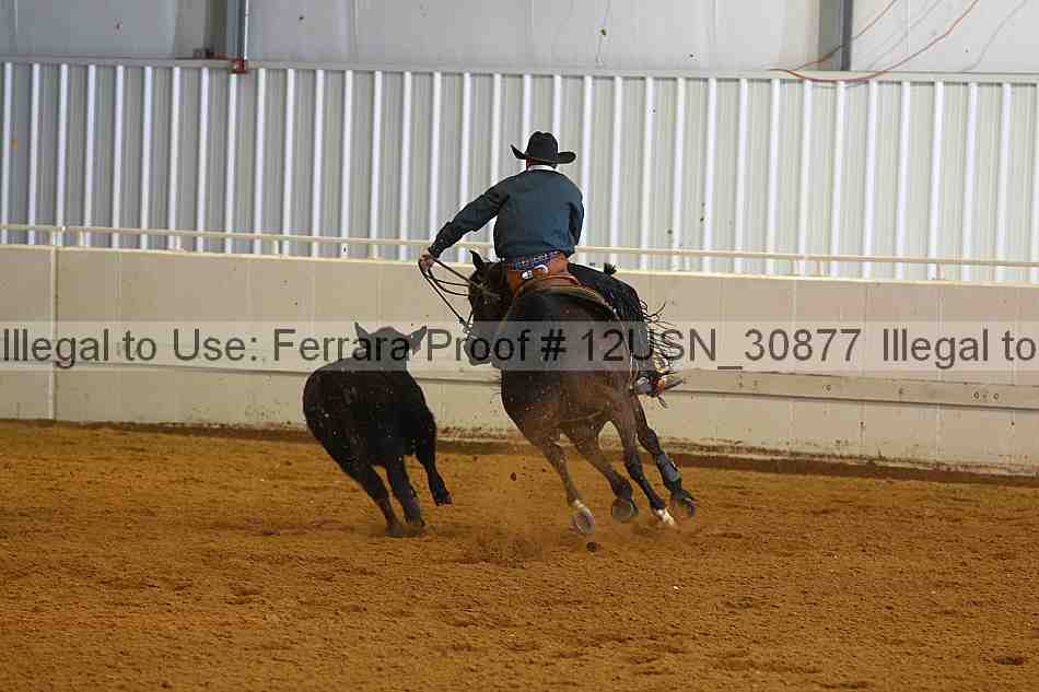 Proof 12usn_30877