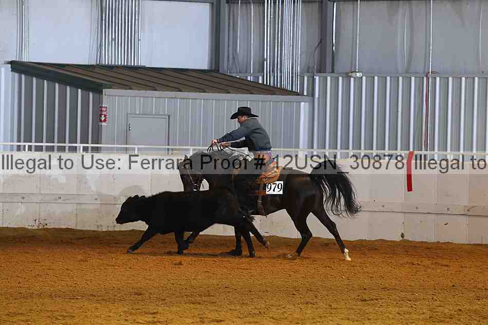 Proof 12usn_30878