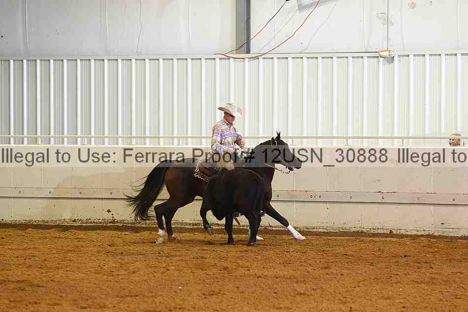 Proof 12usn_30888