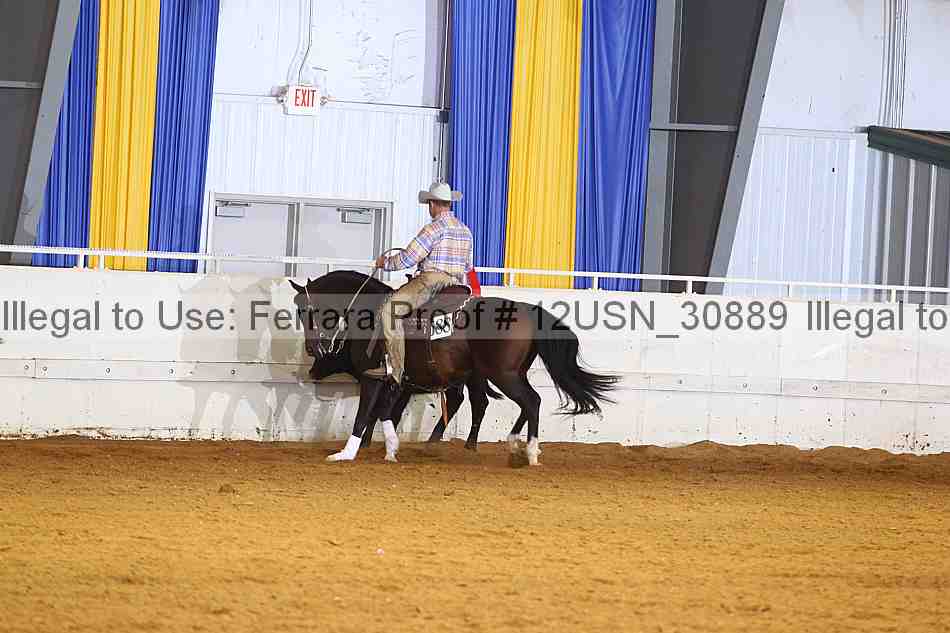 Proof 12usn_30889