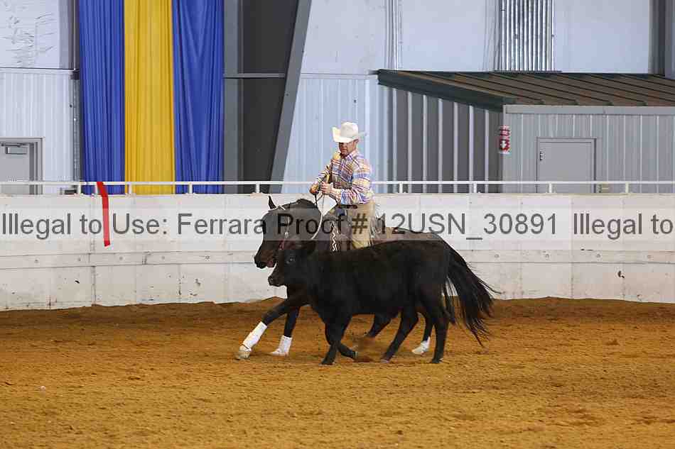 Proof 12usn_30891