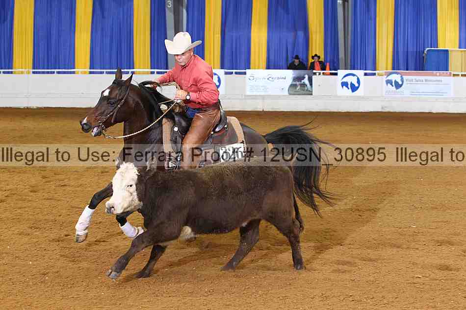Proof 12usn_30895