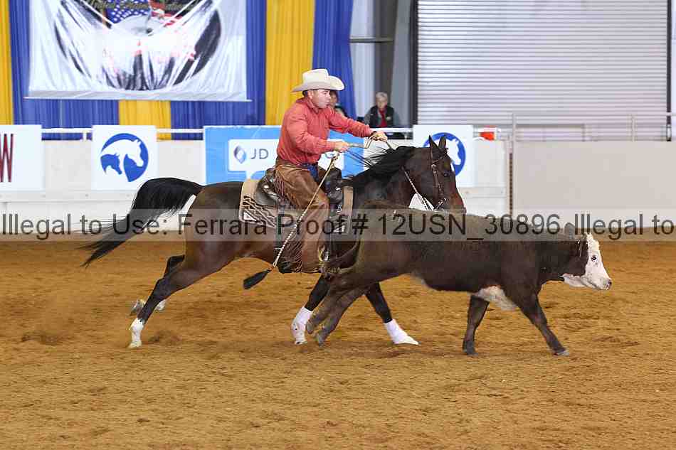Proof 12usn_30896