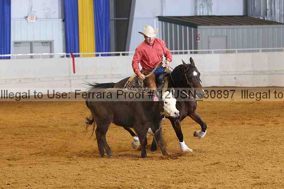 Proof 12usn_30897