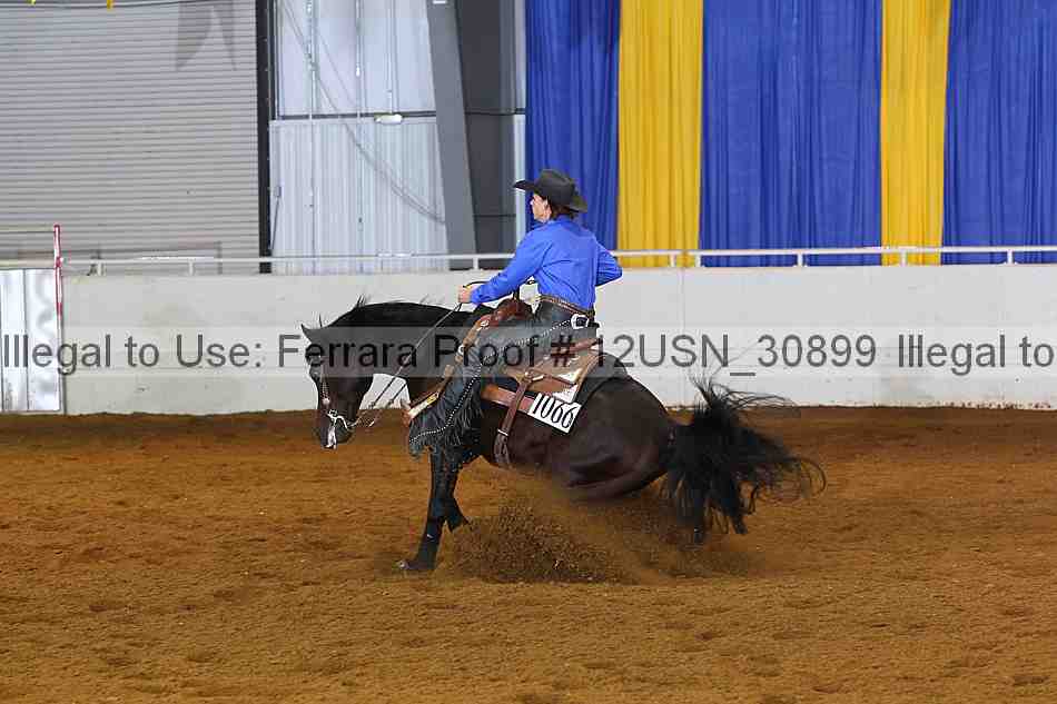 Proof 12usn_30899