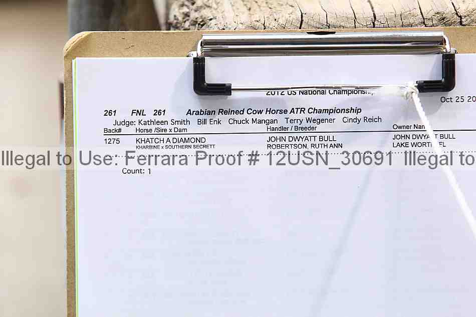Proof 12usn_30691