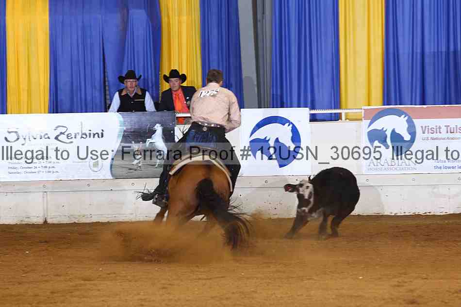 Proof 12usn_30695