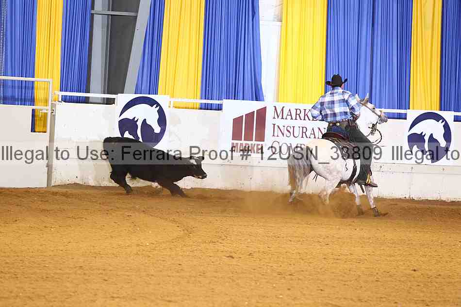 Proof 12usn_33809
