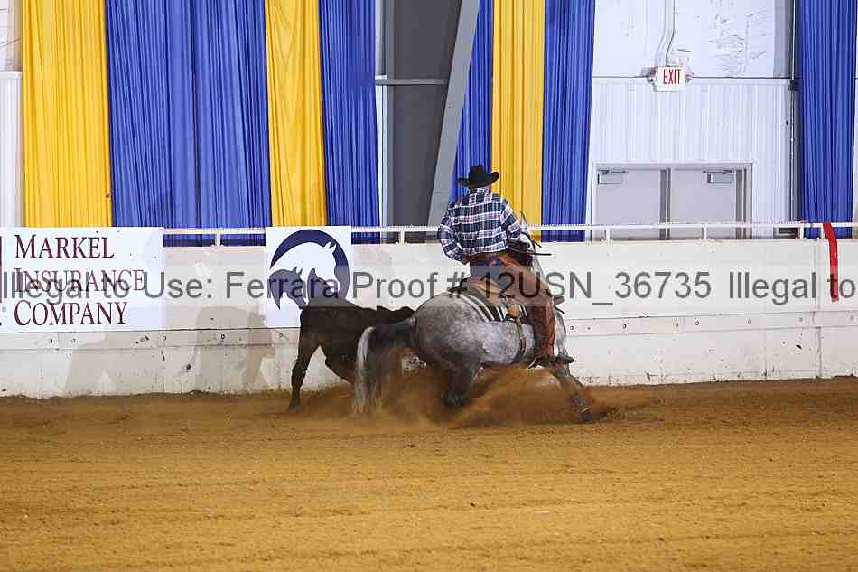 Proof 12usn_36735