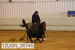 12usn_36745 proof