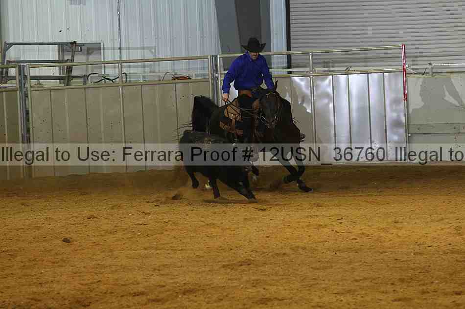 Proof 12usn_36760