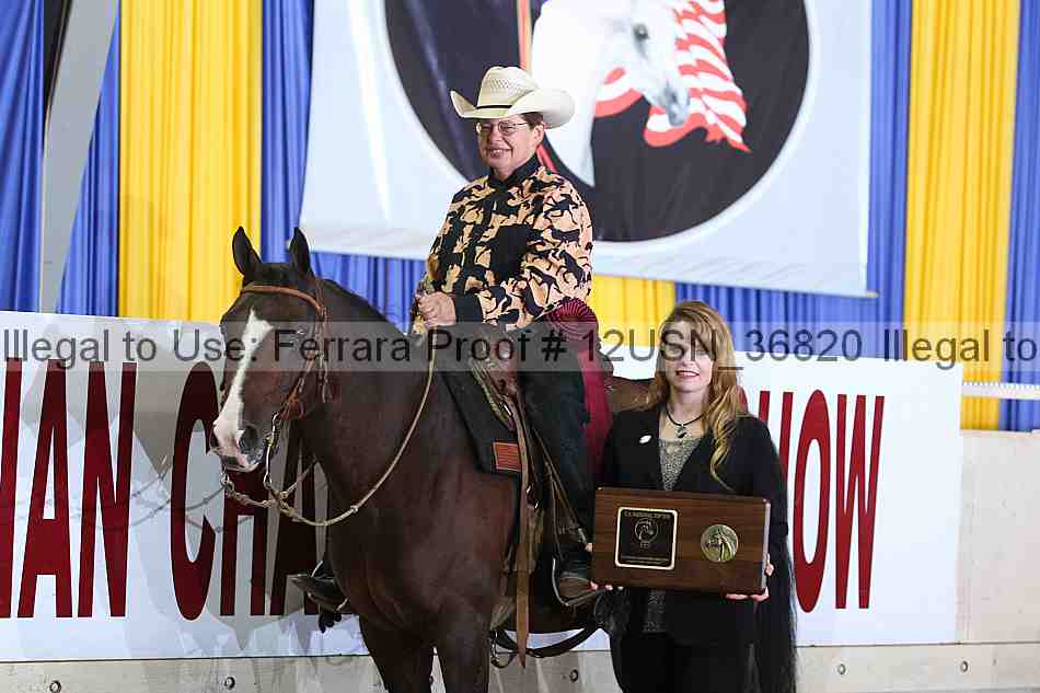 Proof 12usn_36820