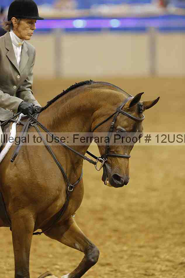 Proof 12usn_05795