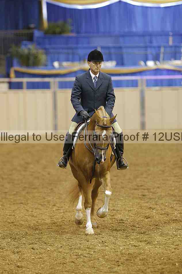Proof 12usn_05797