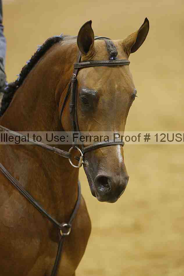 Proof 12usn_28490