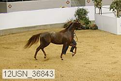 12usn_36843 proof