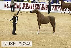 12usn_36849 proof