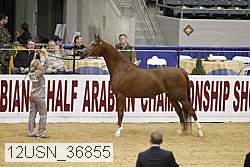 12usn_36855 proof