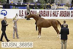 12usn_36858 proof