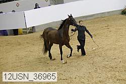 12usn_36965 proof