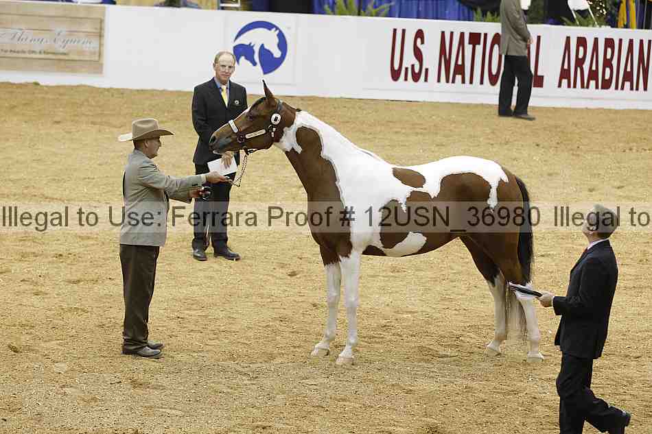 Proof 12usn_36980