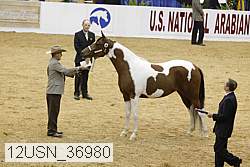 12usn_36980 proof
