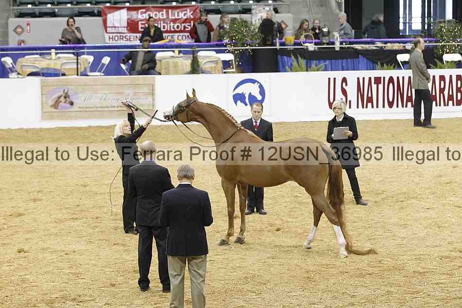 Proof 12usn_36985