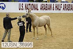 12usn_36995 proof