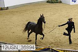 12usn_36894 proof