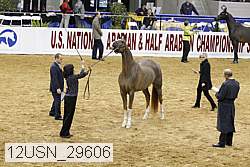 12usn_29606 proof