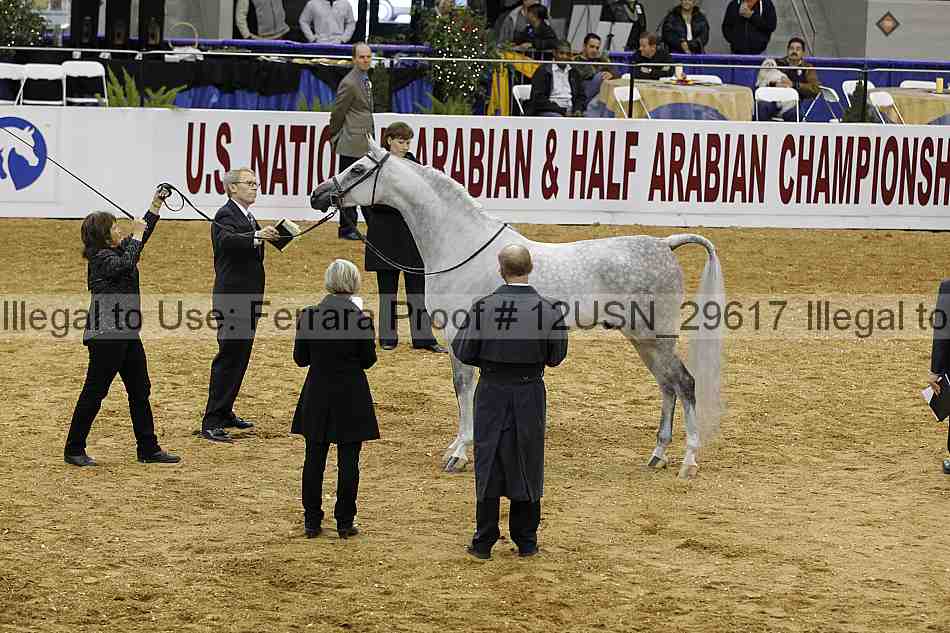 Proof 12usn_29617