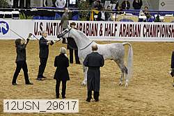 12usn_29617 proof