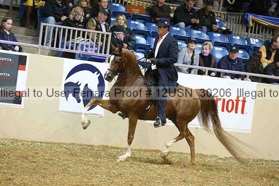 Proof 12usn_30206